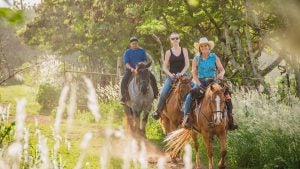 people on horseback riding through a trail with trees and grass surrounding them