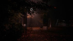 a haunted pathway lined with trees