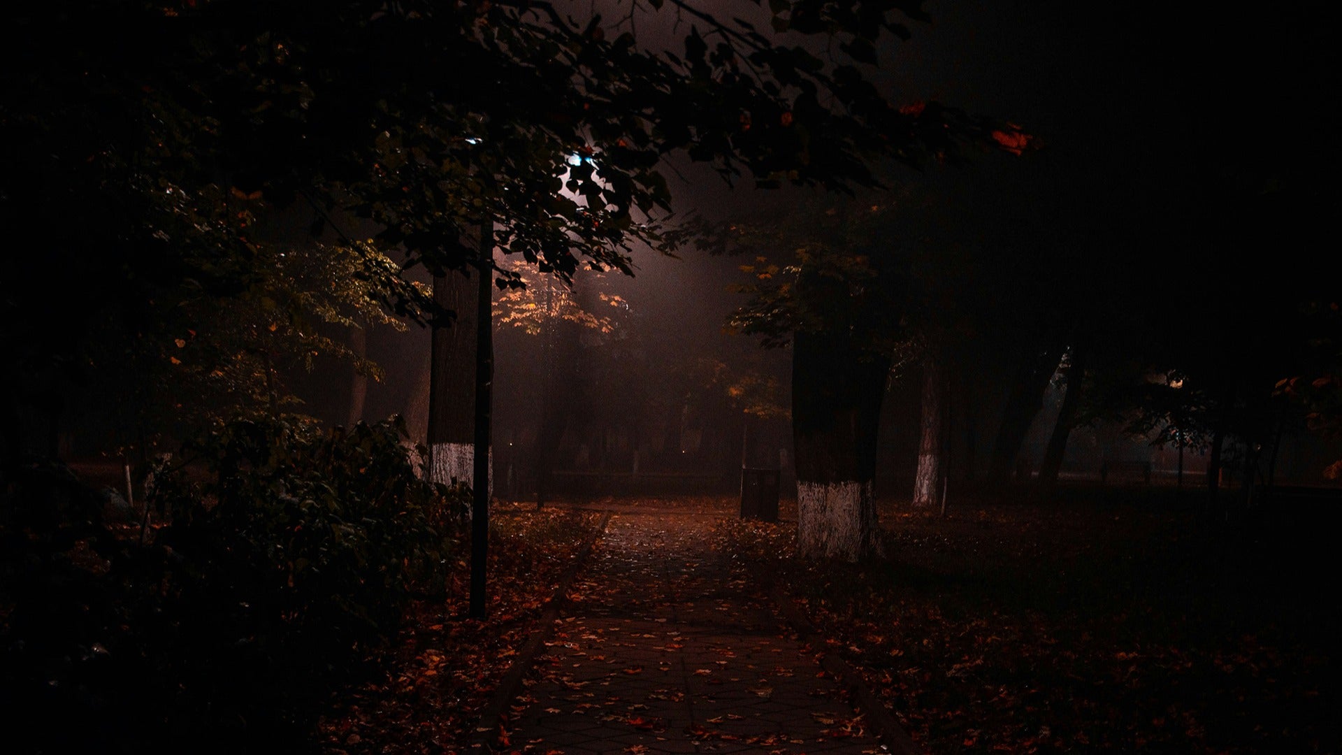 a haunted pathway lined with trees