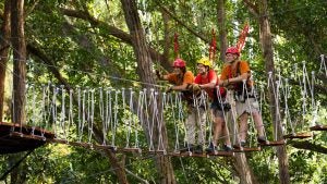 group of men on a suspension bridge about to go ziplining