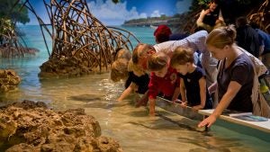 children and parents interacting with an aquarium touch pool