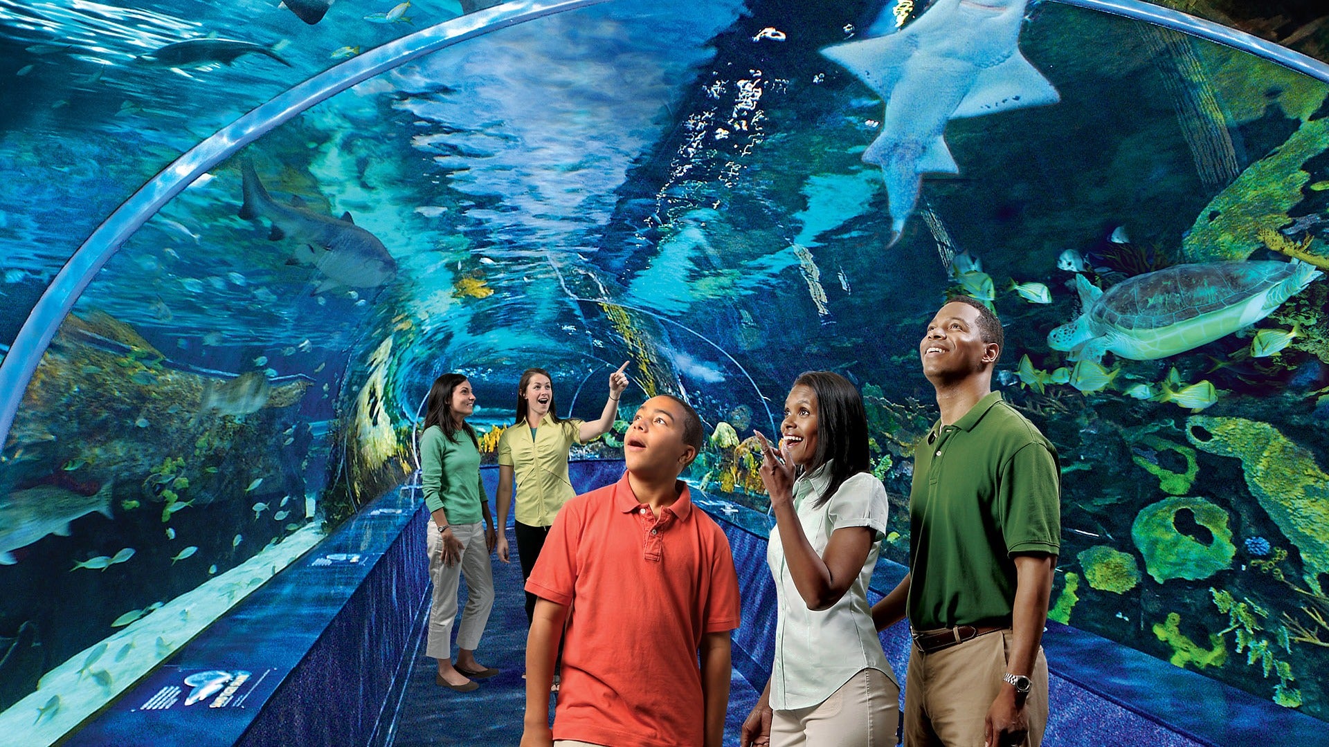 people in an aquarium tunnel looking fascinated
