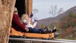 a grandma and her grandchild riding down a mountain coaster with trees at the background
