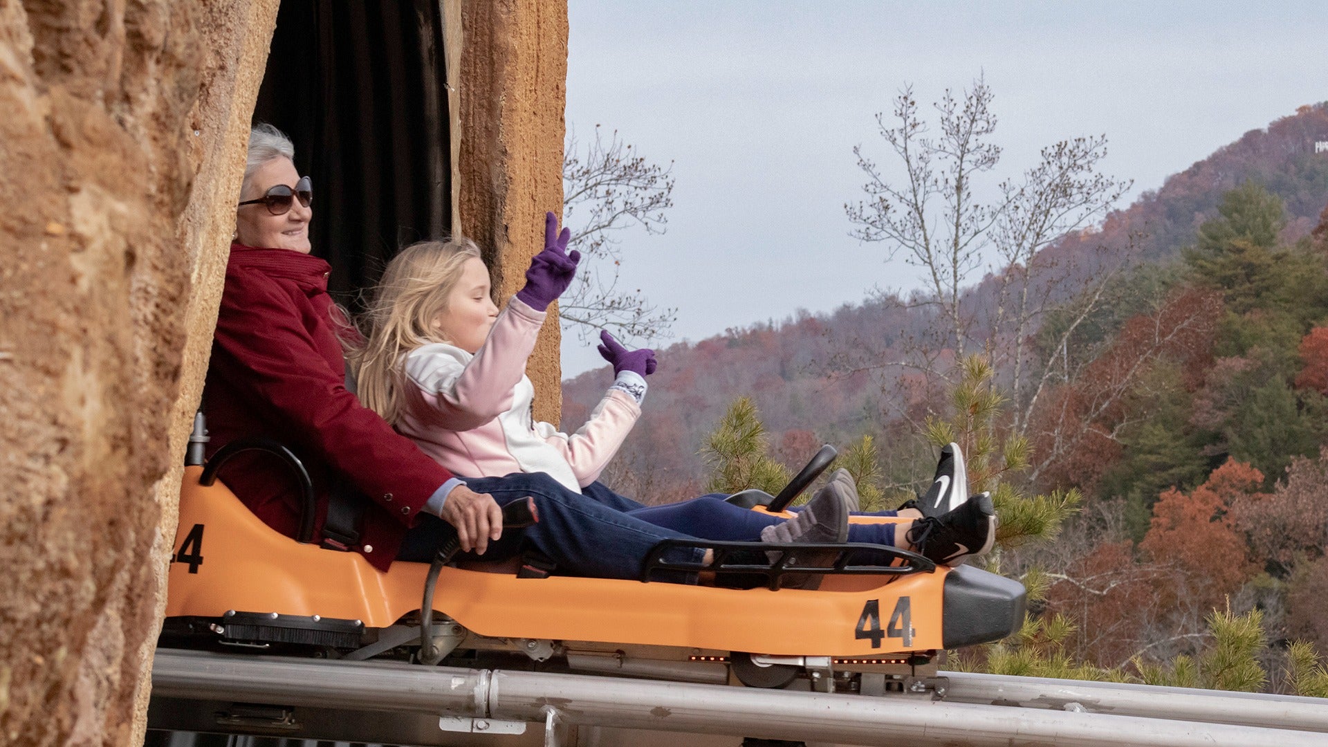 a grandma and her grandchild riding down a mountain coaster with trees at the background