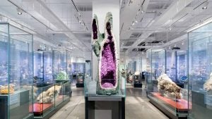 a display of gemstones in a museum exhibit