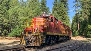 a red train passing by the woods