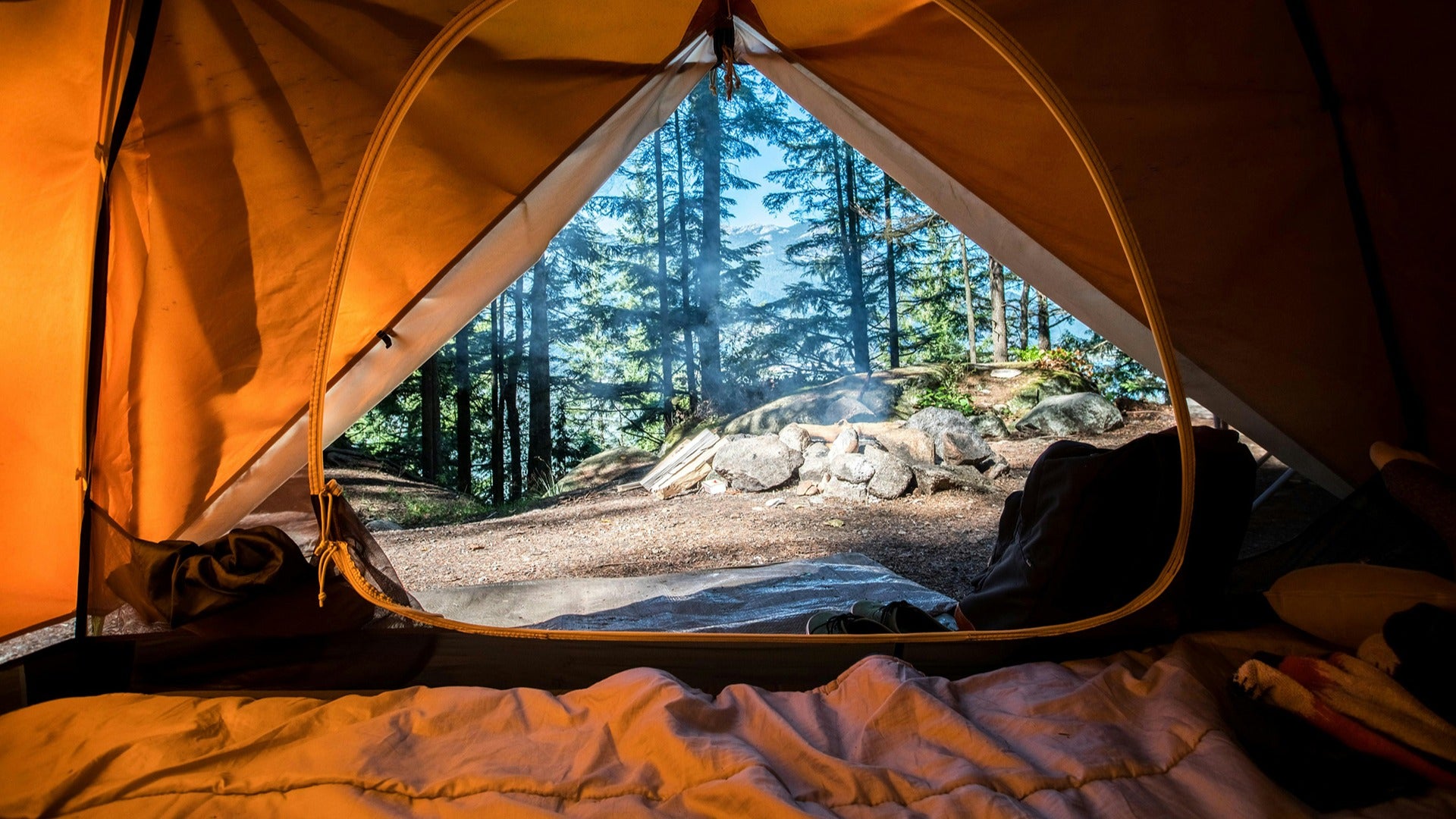 a view of the forest from inside a camping tent