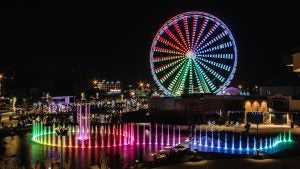 ferris wheel with fountain display in front
