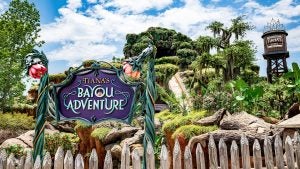 a forest and bayou themed ride in an amusement park