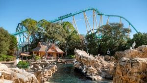 a touch pool surrounded by rocks with a view of a roller coaster in the background