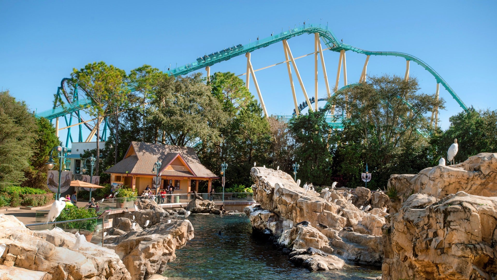 a touch pool surrounded by rocks with a view of a roller coaster in the background