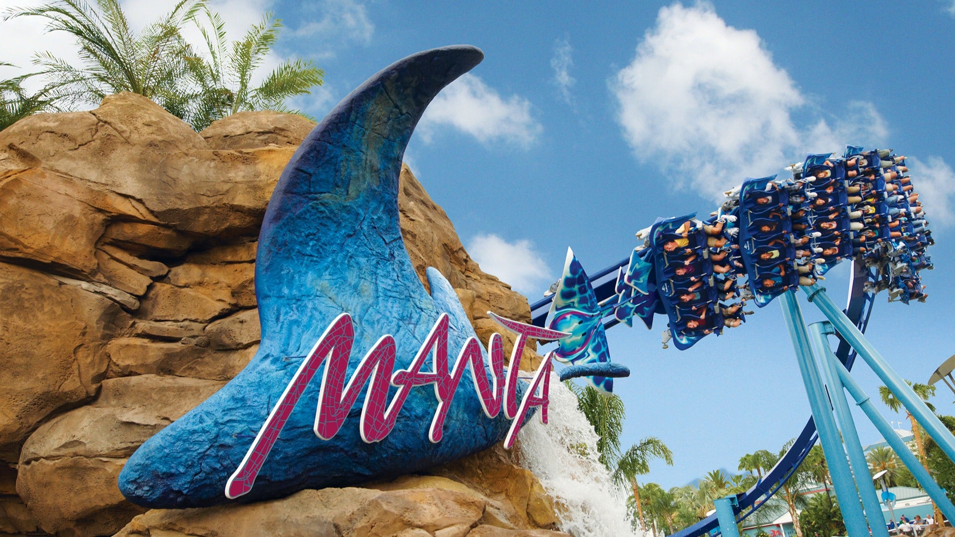 View from below as Manta loops overhead, with silhouettes of riders and coaster track framed by palm trees