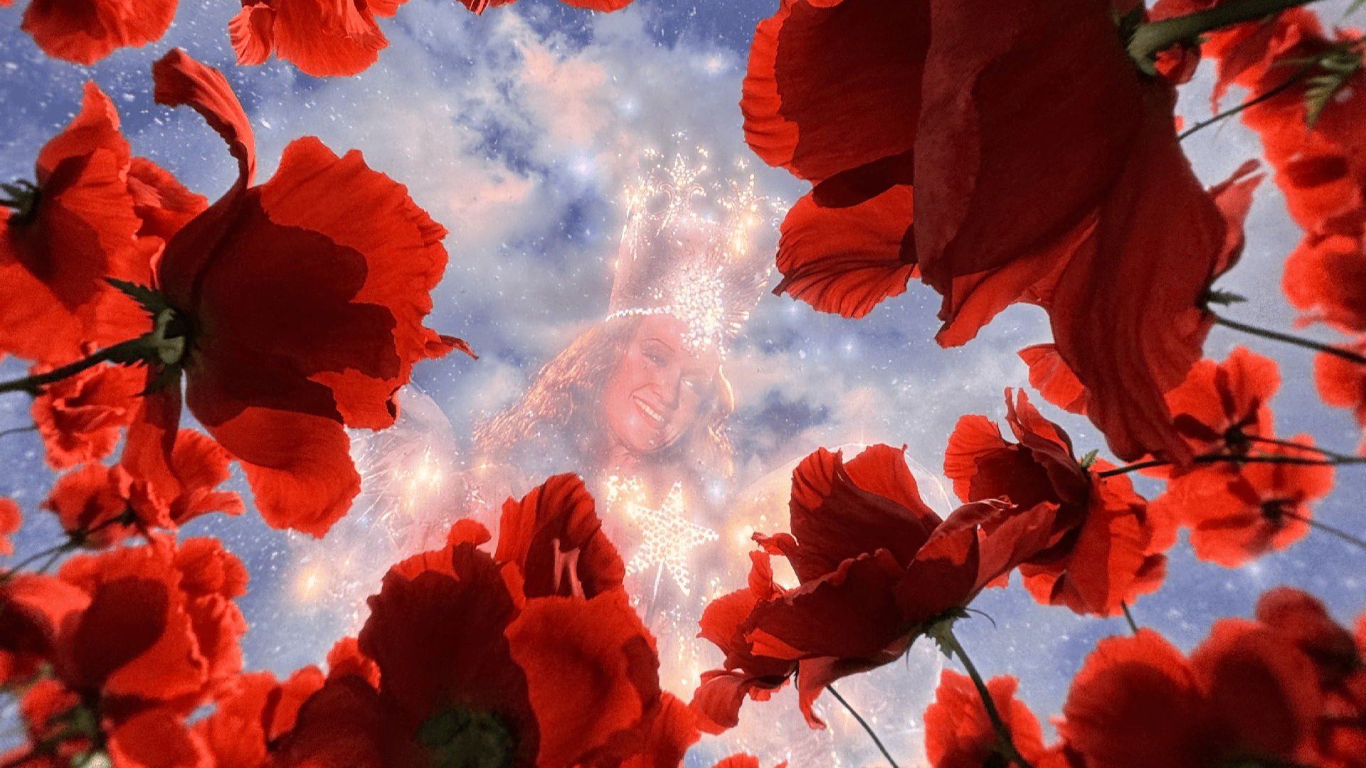a projection of the good witch in wizard of oz surrounded by red flowers