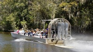 people aboard an airboat riding through a swamp with trees surrounding it