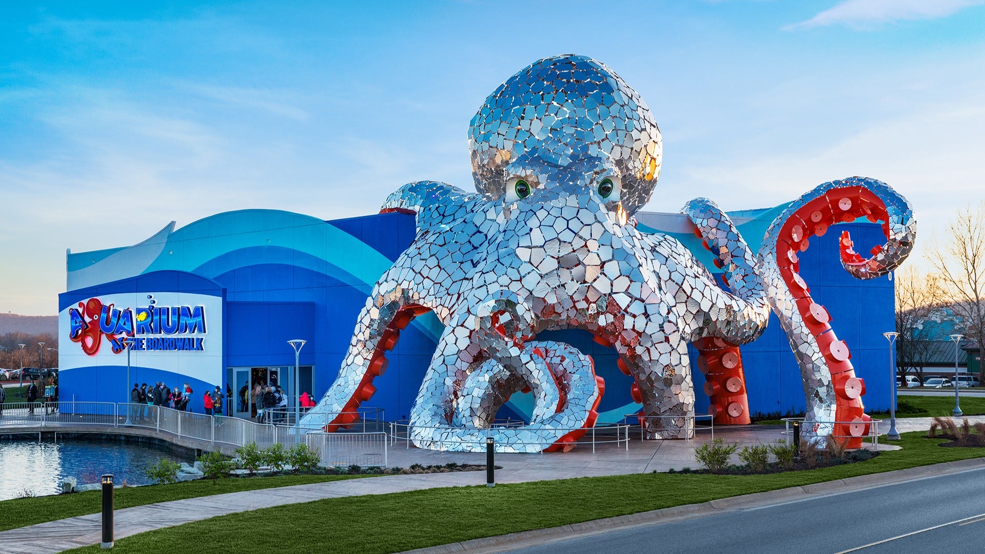 a display of a giant octopus atop an aquarium