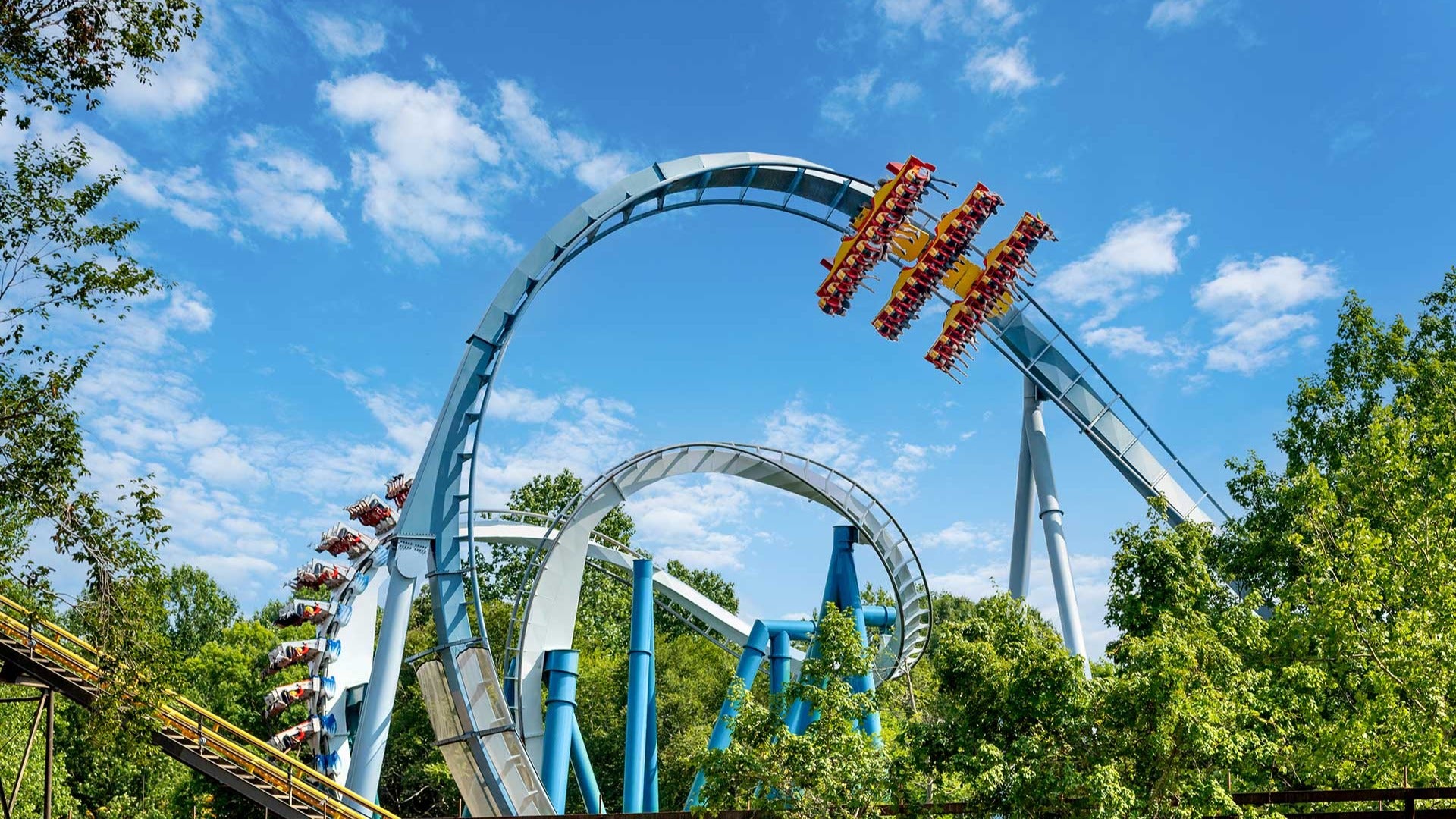 roller coasters going on loops with trees below