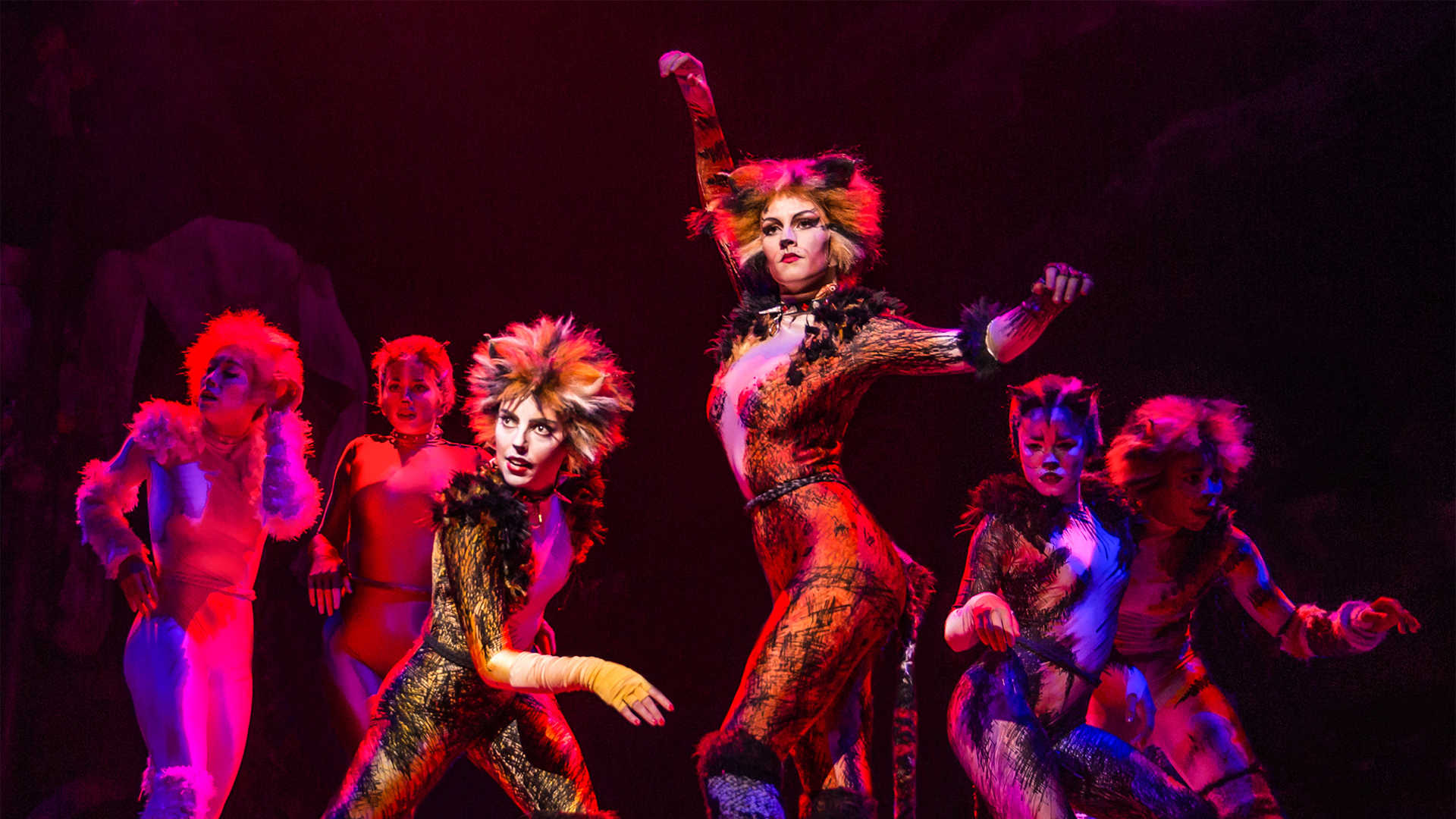 people in cats costumes performing on a stage with a full on production design set
