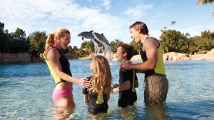 a family in a water feature with dolphins jumping in the back