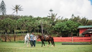 a couple walking with two horses at a ranch