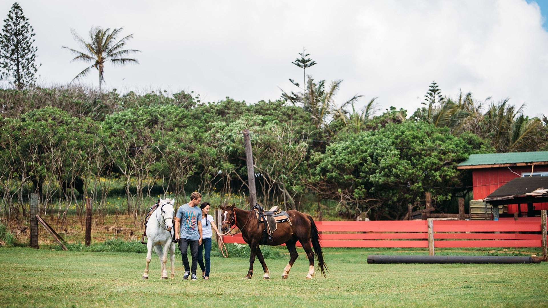 a couple walking with two horses at a ranch