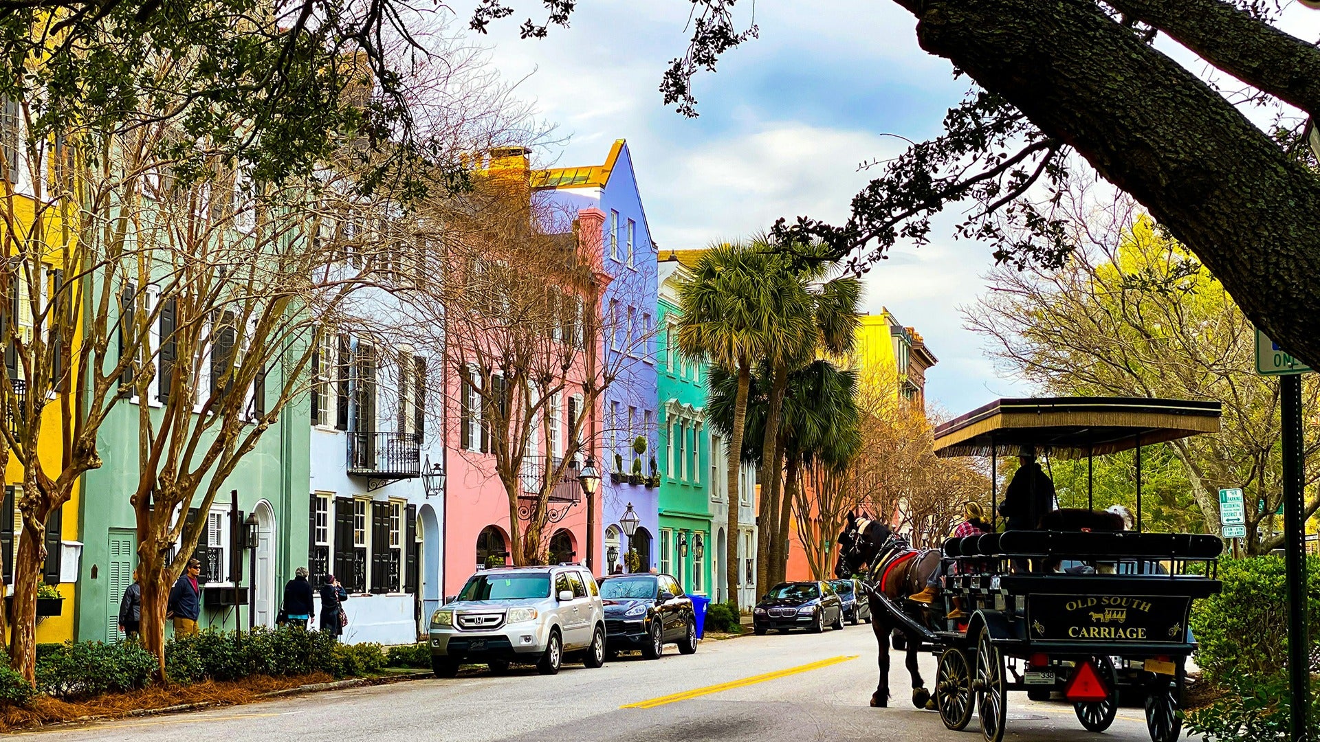houses in different colors lined up on the street surrounded by trees