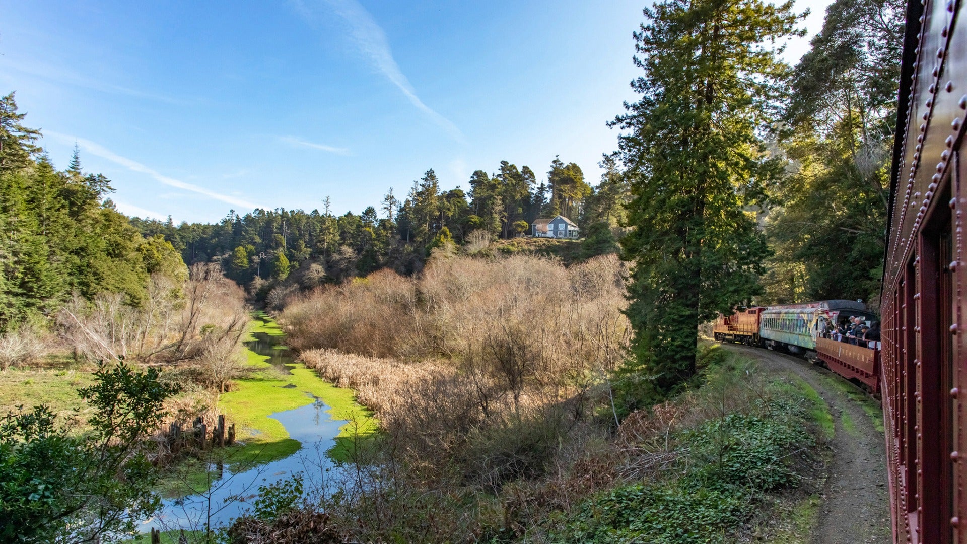 a view of the river and forest from a train