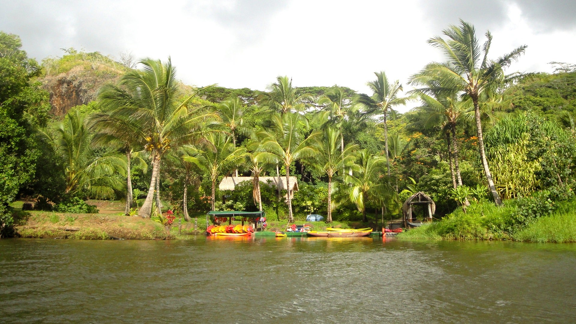 kayaks docked on the river bay, surrounded by trees