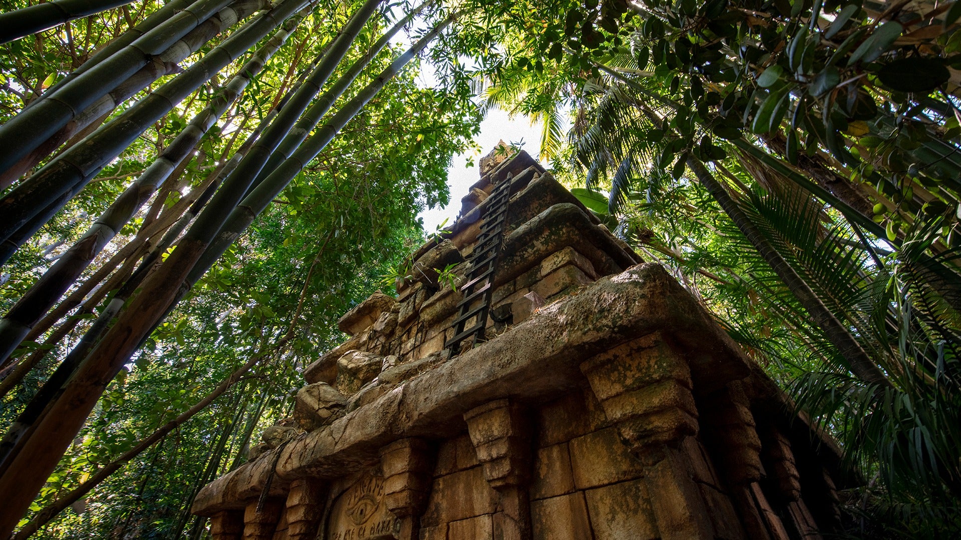 a temple with a ladder surrounded by various trees