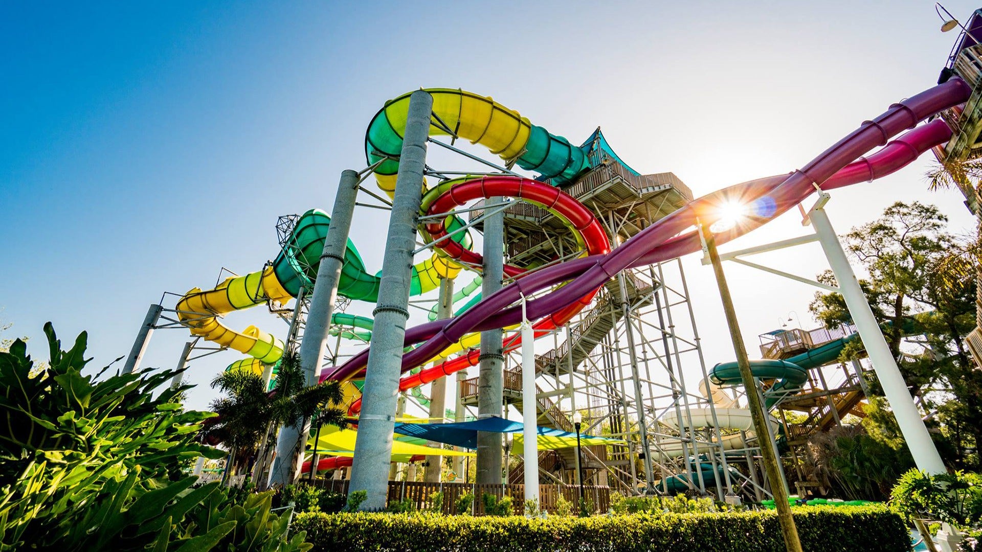 various colored waterslides with trees and plants below
