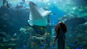 a young girl in an aquarium staring at a manta ray