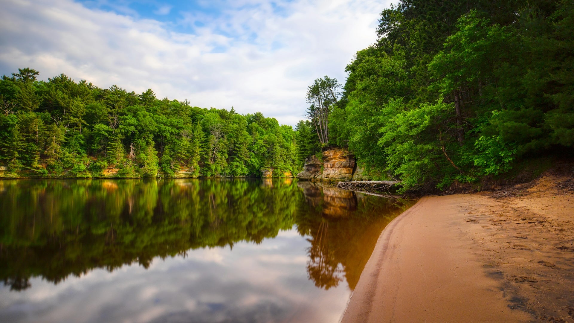 Lake surrounded by lush green forest