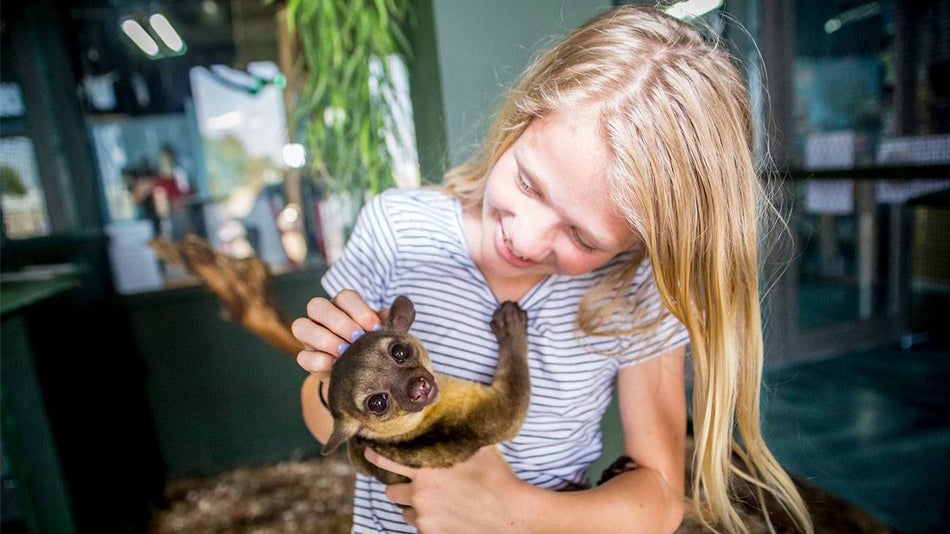child holding and petting small animal at Austin Aquarium in Austin, Texas, USA
