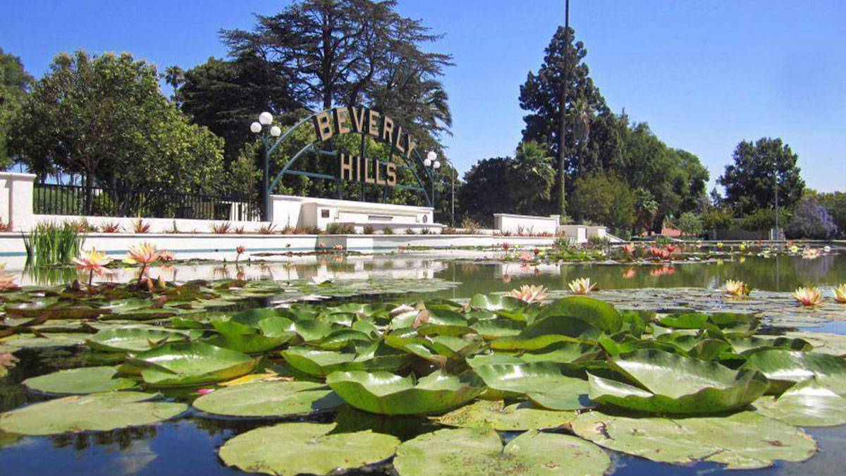Lily pond filled with lily pads and flowers in Beverly Hills, California, USA with Beverly Hills sign in the background with trees in Beverly Hills, Los Angeles, California