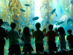10 Top Rated Things to Do in San Diego for Families