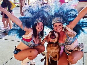 Dog Friendly Hotels in Las Vegas - 5 Best Places to Stay