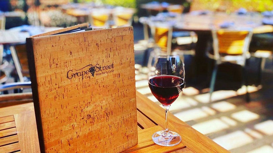 PetFriendly Las Vegas Hotels and Casinos Tripster Travel Guide