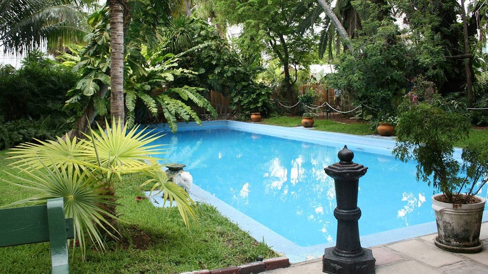 blue pool at Hemingway House surrounded by various plants and trees in Hemingway House, Key West, Florida, USA