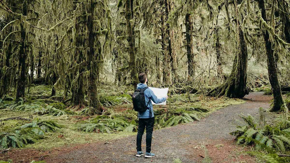 hiker in a blue jacket holding a map entering the path in Hoh Rainforest Olympic Peninsula, Washington, USA