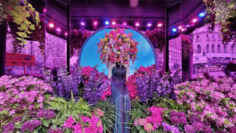 Macy's Flower Show in NYC 🌸 MustKnow Details!