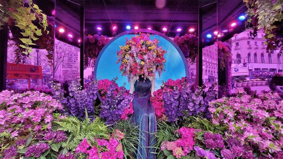 Nyc Flower Show 2025 Janean Ceciley