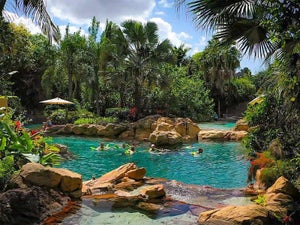 Discovery Cove Discount Tickets - 2023 Ultimate Guide