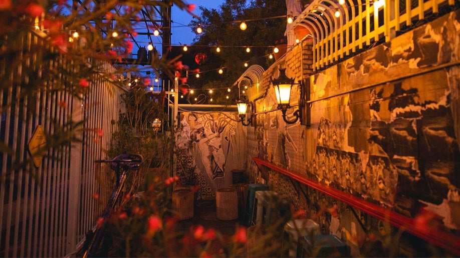 PetFriendly Las Vegas Hotels and Casinos Tripster Travel Guide