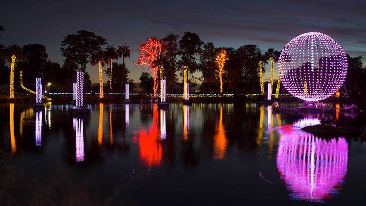 nightshot of trees with christmas lights on them next to a lake