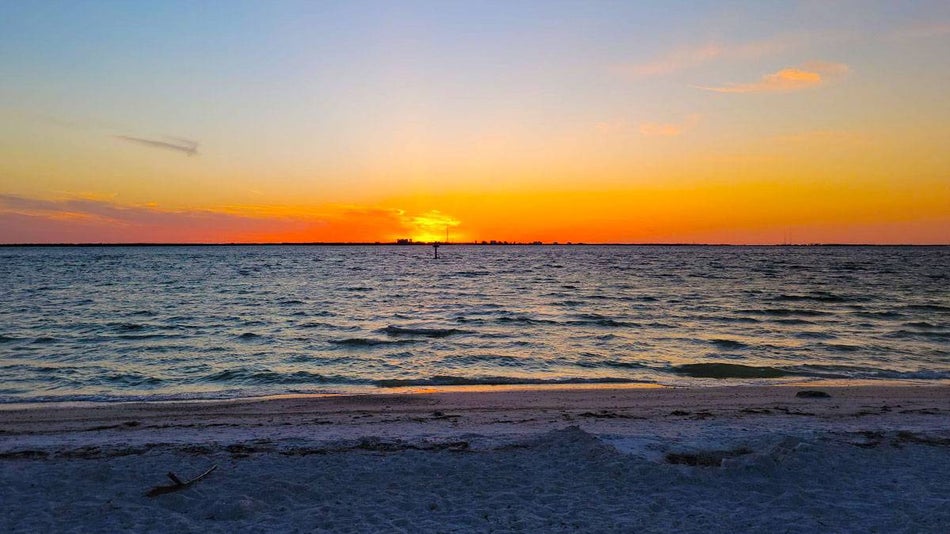 sunset on horizon on shoreline of Picnic Island Park in Tampa Bay, Florida, USA