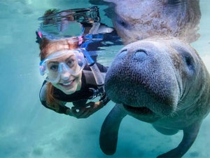 Real Florida Manatee Adventure - 2023 Discount Tickets & Reviews