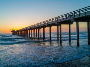 Things to Do in La Jolla California ﻿- 9 Must-Try Activities