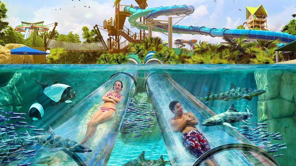 guests going through underwater slides with various fish in water at aquatica reef plunge in Orlando, Florida, USA