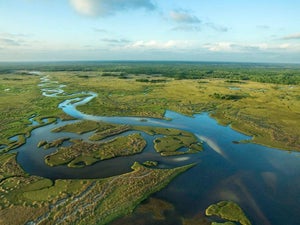 Everglade Safari Park - 2023 Guide to Coupons & Reviews