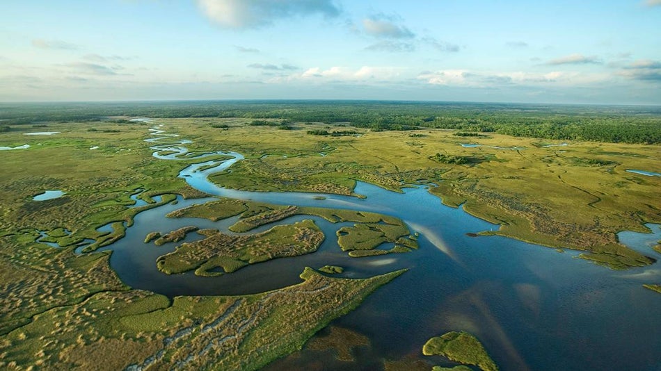 Aerial view of the Central Florida everglades on a sunny day.