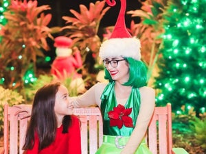 Christmas in the Wild Zoo Tampa: 2023 Festivities Guide
